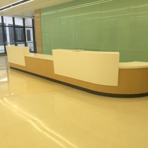Hospital single style service desk