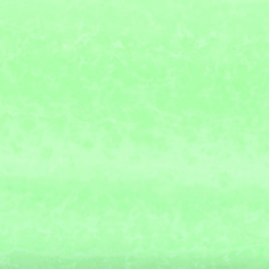 YT5301