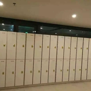 商場大型抗倍特儲物柜